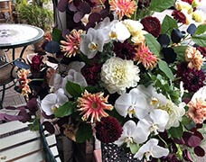 大型装花3000円白を基調とした胡蝶蘭などの装花